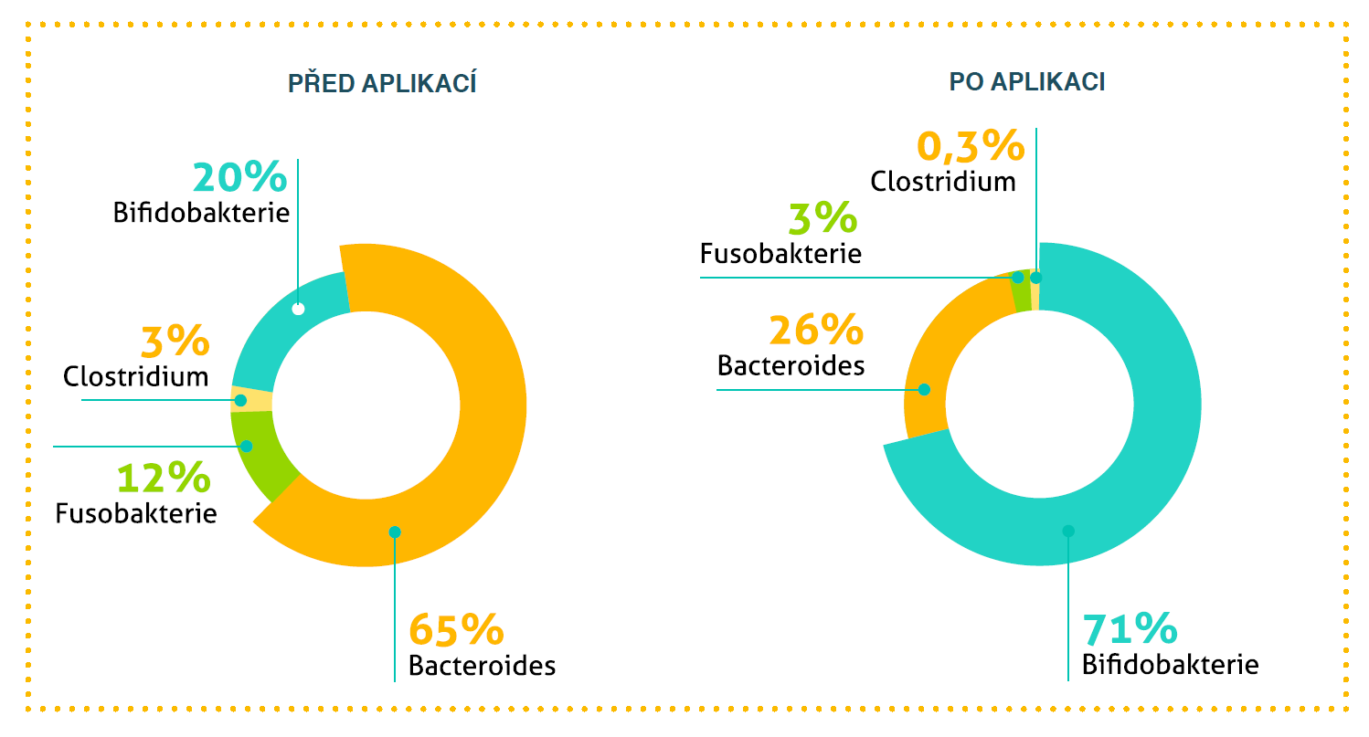 Enerbiotic studie